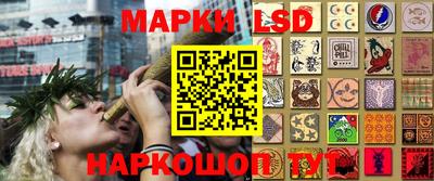 шишки Коммунар